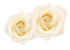 未経験でも大丈夫!